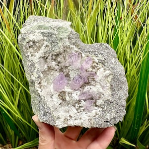 Self-standing Vera Cruz Amethyst Crystals on Matrix Gemmy Amethyst Purple Amethyst Mexican Amethyst Cluster Rare Amethyst Purple Crystals