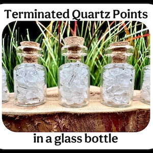 Bottle of Terminated Quartz Points Quartz Crystals in Bottle Tiny Quartz Crystals Tiny Quartz Points Bottled Crystals Gemstone Bottles