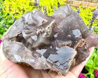 Muestra de fluorita cúbica de color púrpura grisáceo, cristal grabado de Pakistán