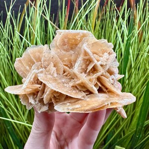 Desert Rose Selenite Cluster 2.85" Tunisia Sand Rose Gypsum Rose Selenite Rose Selenite Blades Gypsum Crystal Selenite Crystals