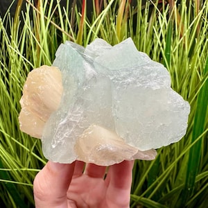 Large Apophyllite Yellow Stilbite Crystals India Zeolite Minerals Cubic Apophyllite Crystals Zeolite Crystals Tan Stilbite Zoned Apophyllite