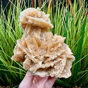 Self-standing Desert Rose Selenite Cluster Tunisia Sand Rose Gypsum Rose Selenite Rose Selenite Blades Gypsum Crystal Selenite Crystals
