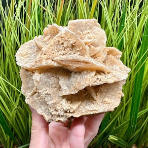 Large Desert Rose Selenite Cluster from Tunisia Sand Rose Gypsum Rose Selenite Rose Selenite Blades Gypsum Crystal Selenite Crystals