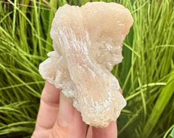 High Grade Bowtie Stilbite Crystal Specimen, India