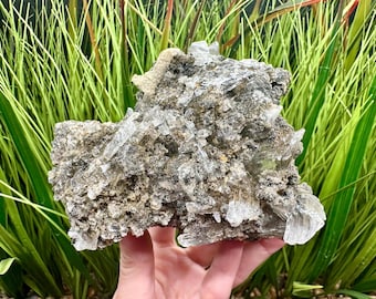 Clear Selenite Crystals Naica Mine? Mexico Gypsum Crystal Naica Selenite Clear Gypsum Crystal in Matrix Mexican Selenite in Matrix
