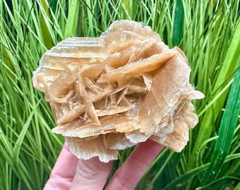 Sand Rose Selenite Cluster, Desert Rose Gypsum Crystal from Tunisia