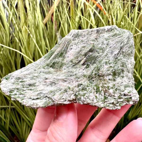 Bright Green Actinolite Crystals in Mica Bulgaria Actinolite in Schist White Mica Green Crystals Hornblende Tremolite Crystals Rare Crystals