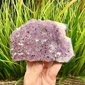 Puede incluir: Una mano sostiene una geoda de amatista grande y en bruto. El cristal es de color púrpura claro con inclusiones de color púrpura oscuro y negro. La geoda tiene una superficie rugosa y texturada y está rodeada de hierba ornamental verde y amarilla.
