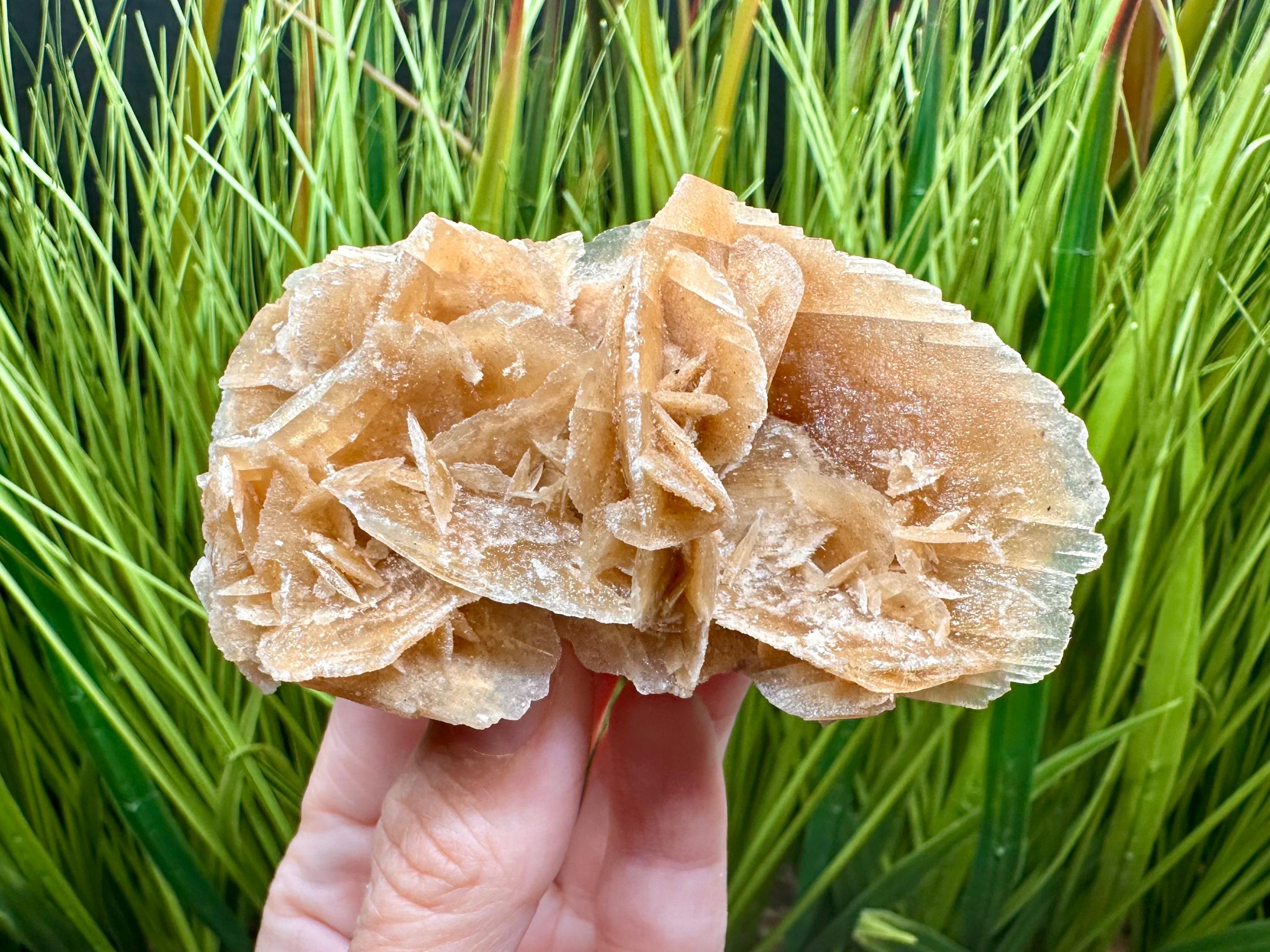 Desert Rose Selenite Cluster 3.3" from Tunisia Sand Rose Gypsum Rose Selenite Rose Selenite Blades Gypsum Crystals Selenite Crystals