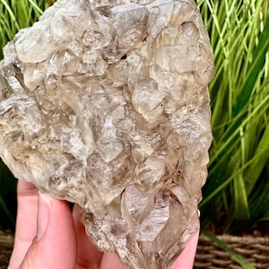 Bizarre Elestial Quartz Crystal Minas Gerais Brazil Smokey Quartz Window Quartz Fenster Quartz Skeletal Quartz Alligator Quartz