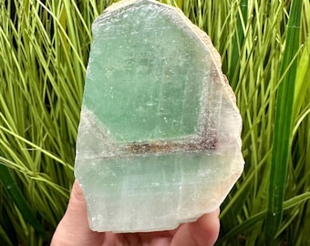 Pode incluir: Um cristal translúcido verde claro com uma borda natural e áspera. A pedra tem camadas de cor e uma sutil faixa marrom. O cristal é segurado em uma mão, com plantas verdes e marrons ao fundo.