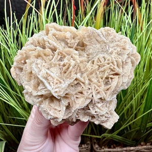 Self-standing Desert Rose Selenite Cluster Tunisia Sand Rose Gypsum Rose Selenite Rose Selenite Blades Gypsum Crystals Selenite Crystals