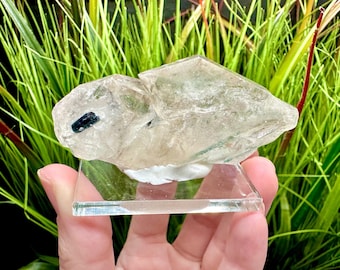 Blue Green Indicolite Tourmaline in Quartz Crystal, Brazil