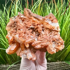 Double-Sided Iron Quartz Brazil Tangerine Quartz Cluster Orange Quartz Red Quartz Hematite Quartz Crystals Red Crystals Hematoid Quartz