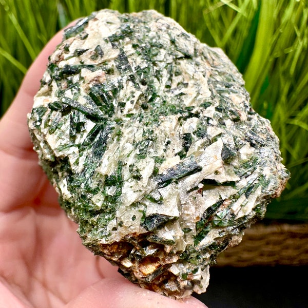 Green Actinolite Mica Bulgaria Actinolite in Schist White Mica White Schist Green Crystals Emerald green crystals Tremolite Hornblende