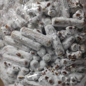 Pode incluir: Close-up de um saco plástico cheio de arroz integral e micélio branco. O arroz está coberto por uma camada branca e felpuda de micélio.