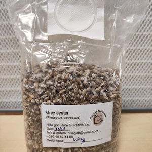 Könnte beinhalten: Ein transparenter Plastikbeutel gefüllt mit grauen Austernpilz-Zuchtsets. Der Beutel trägt ein Etikett mit der Aufschrift "Grey oyster (Pleurotus ostreatus)" und enthält das Datum "11/13", Kontaktinformationen und das Gewicht des Sets, "4508".