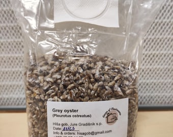 Micelio de hongo sobre grano (semilla)