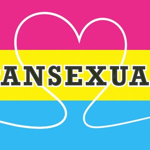 10 x naklejki panseksualne naklejki format winylowy 50 x 35 mm PRIDE interseksualne LGBTQ duma gejowskie flagi flagi csd festiwal + 1 x pocztówka płci Sunje®
