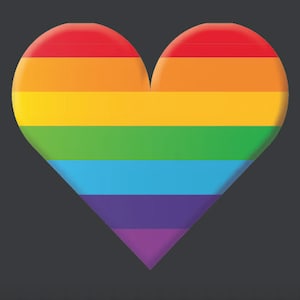 10 x sticker Rainbow PRIDE hartsticker vinylformaat 50 x 35 mm Intersekse LGBTQ homovlag CSD cadeaufestival + 1 x geslachtskaart Sunje®