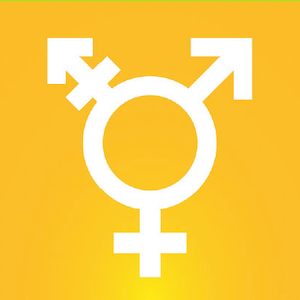 10 x Sticker DIVERS INTERSEX Sticker Vinyl 50 x 35 mm Gender pride Intersex LGBTQI + Pride Gay Flags Vlaggen + 1 x Gender Postcard © Sunje®