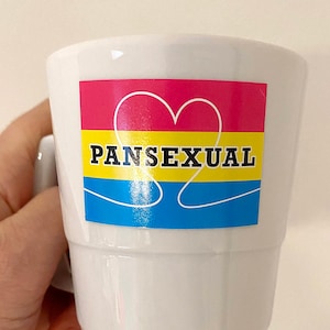 PANSEXUAL Sticker 10 x Aufkleber Vinyl Format 50x35 mm Gender PRIDE Intersex LGBTQ Pride Gay Flaggen Flags csd + 1 x Gender Postkarte Sunje®