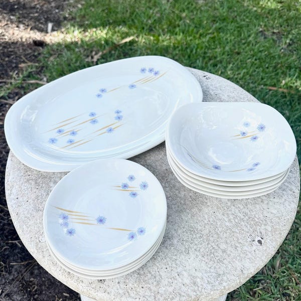 Mid Century Modern Iroquois Parasols Dish Set by Ben Seibel - 11 Pieces