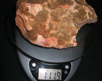 1 lb 12 oz+ ruwe carneoolagaat