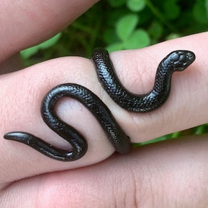 May include: A black snake ring, coiled around a finger. The snake is made of a smooth, shiny material and has a realistic appearance.