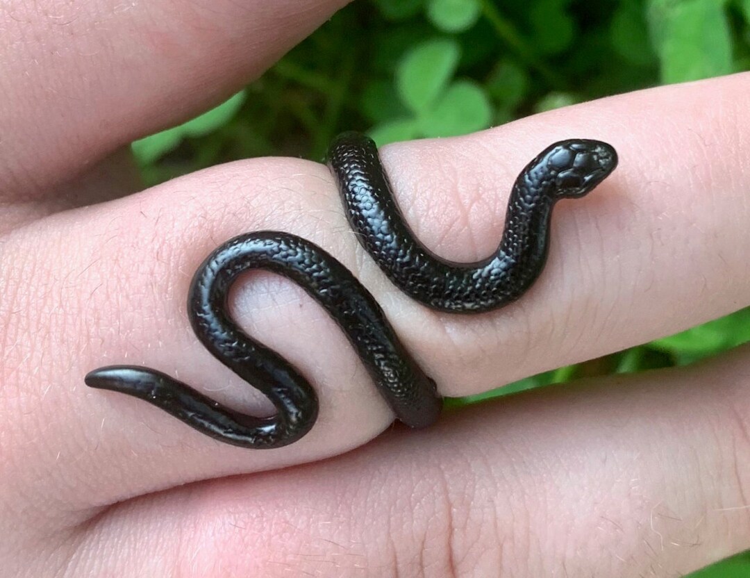 Cool Black Snake Ring / Adjustable Ring / Eras Tour / Etsy