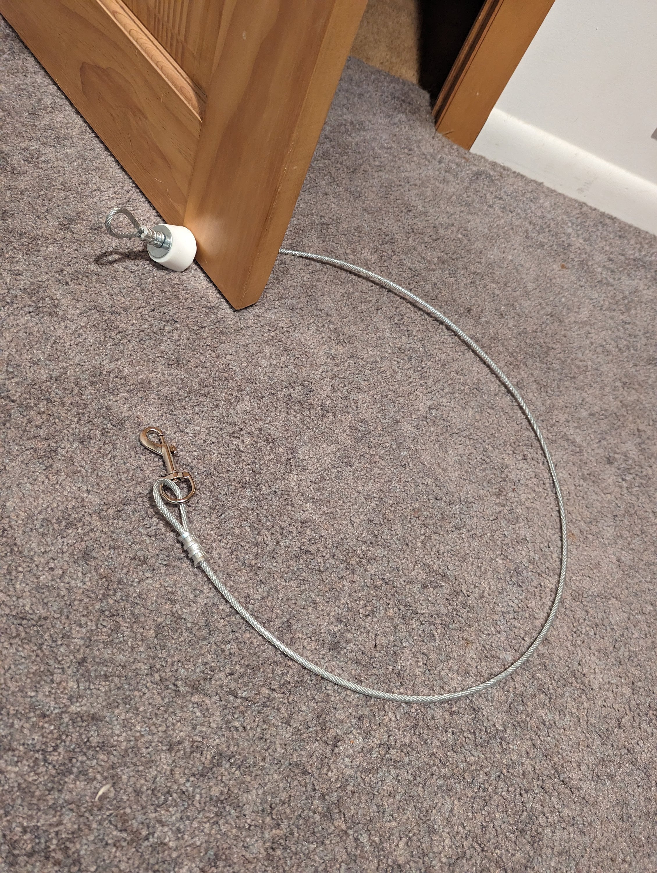 Portable Dog Tether for Interior Doors - Etsy