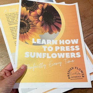 How to press a sunflower Pressed flowers Printable Ebook Sunflower pressing Tutorial DIY sunflower art sunflower decor image 4