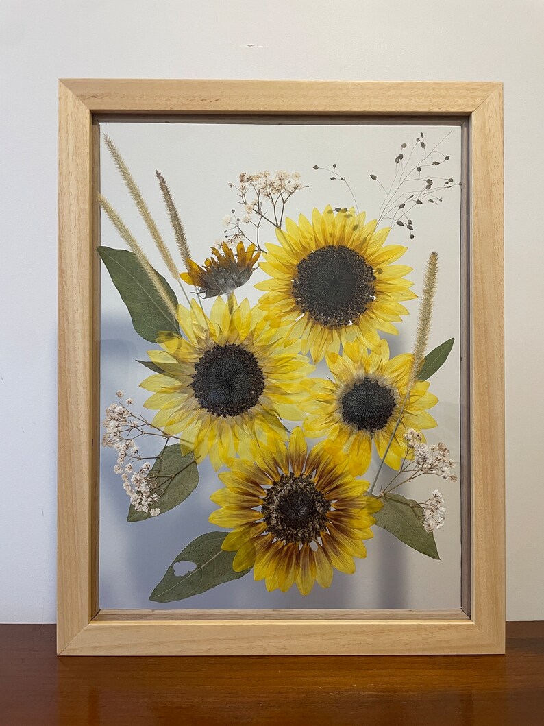 How to press a sunflower Pressed flowers Printable Ebook Sunflower pressing Tutorial DIY sunflower art sunflower decor image 9