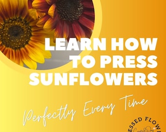 Wie man eine Sonnenblume drückt | Gepresste Blumen | Druckbares Ebook | Sonnenblumenpressen Tutorial | DIY Sonnenblumen Kunst | Sonnenblumen Dekor