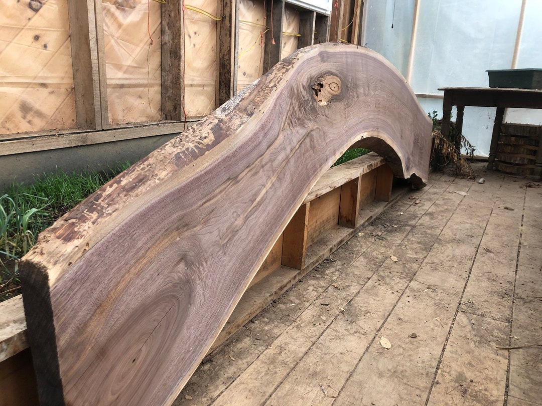 Curved Black Walnut Slab, Live Edge Etsy