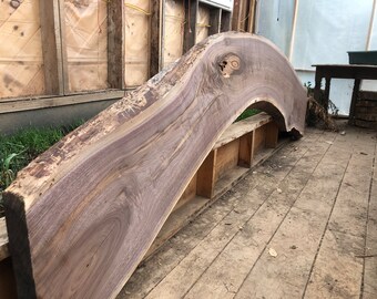 Curved Black Walnut slab, live edge