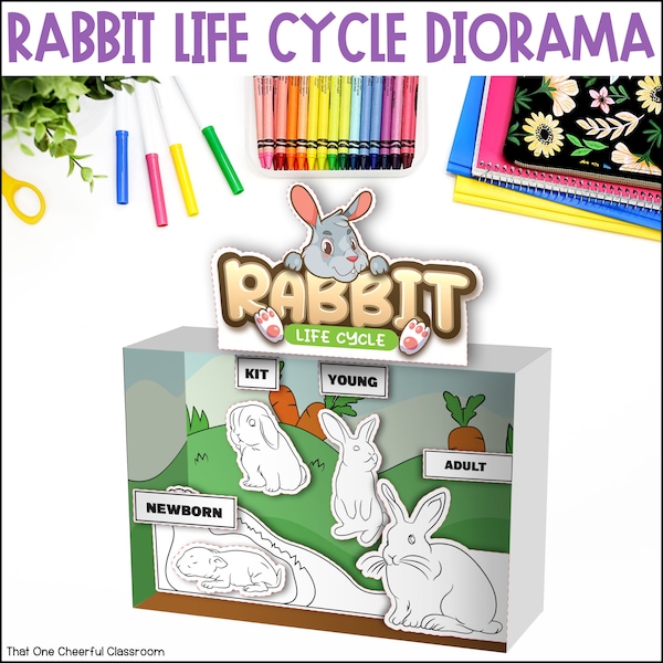 Life Cycle of a Rabbit 3D Diorama Science Project Pop Up Craft Activity