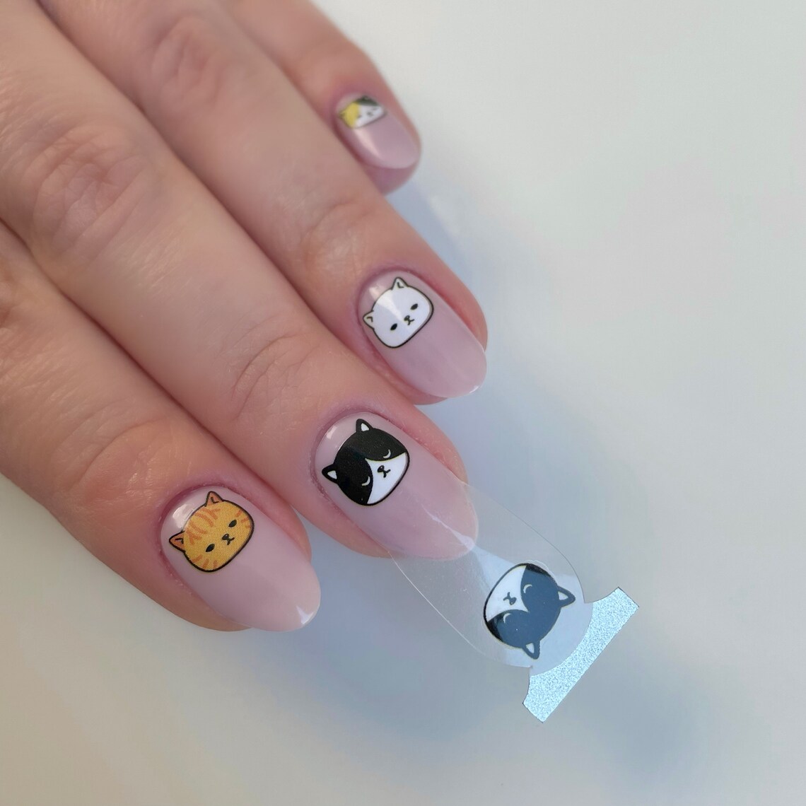 Cat Nail Polish Wraps transparent | Etsy