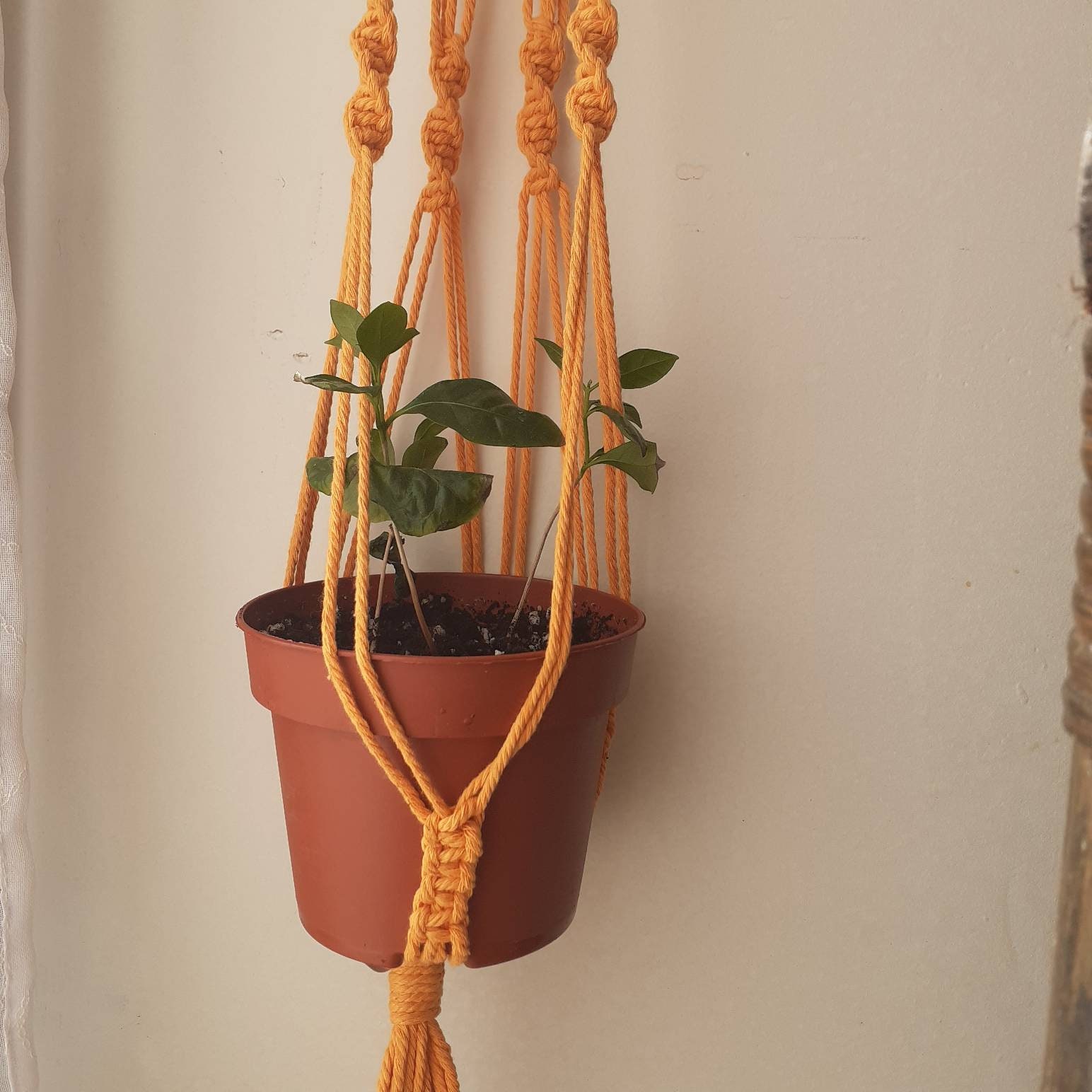 Suspension en Macramé Mural