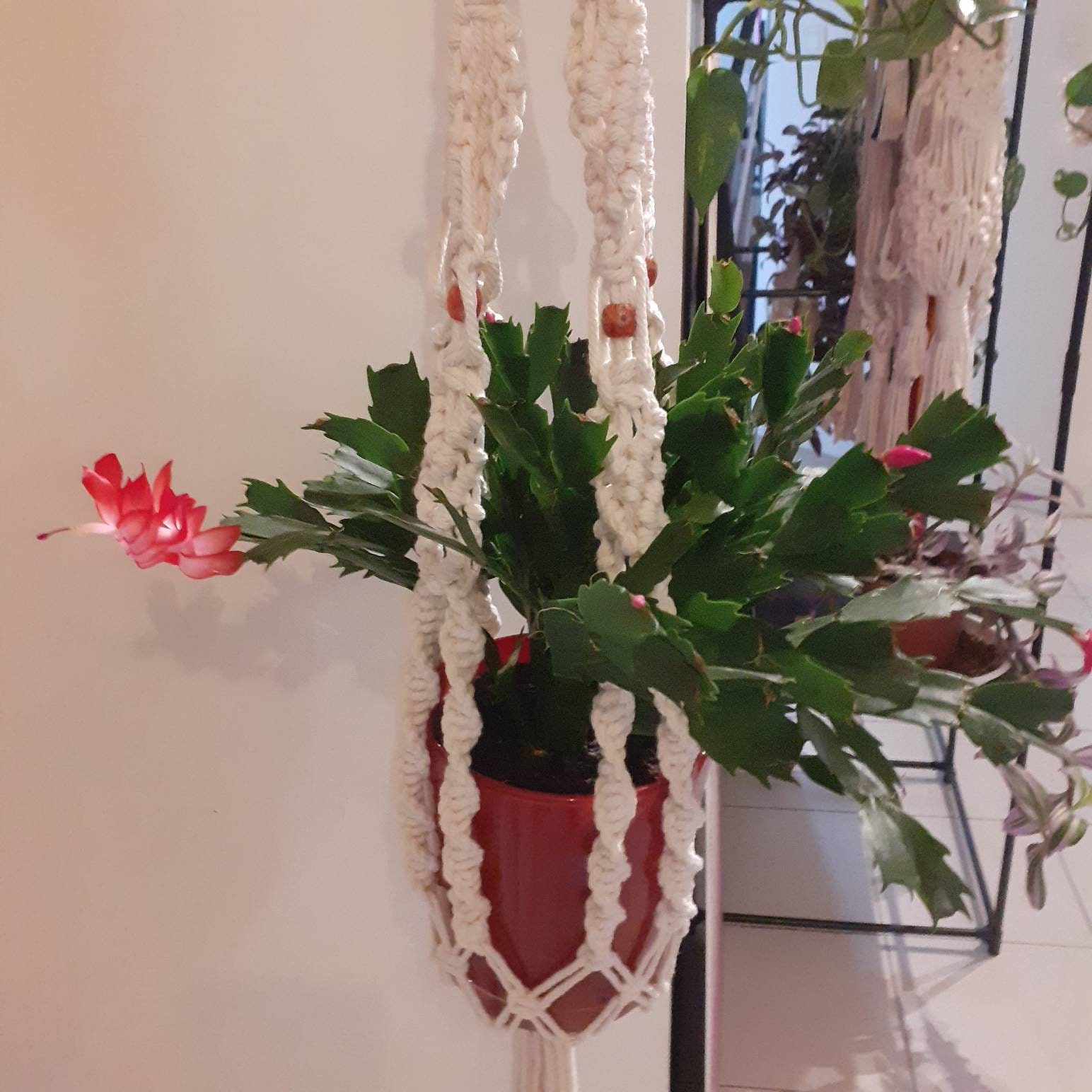 Suspension Pour Plante en Macramé