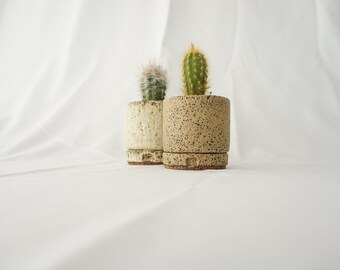 Mini Cacti Plant Pot