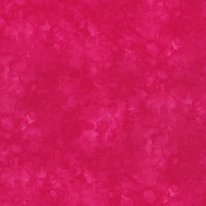 Timeless Treasures Solid-ish by Kimberly Einmo Fandango C6100-FANDAN