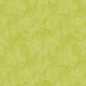 Contempo Studio Cherry Guidry At Home Lime Chalk Texture 9488B-40