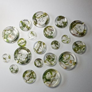 BUTTONS Real Natural Moss and Gold Flake Four Hole Button | Resin Handmade Supply Sewing Knitting Crochet Set of 6 Sew-Through