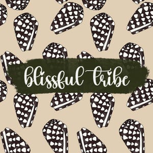 Hebrew Cone Shell png - Beach Shells png- Shell png- Digital Download - Hebrew cone pattern - Cone Shell Png - Hawaii Shell - Seamless PNG