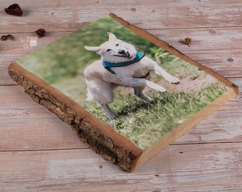 Engraved Pet Photo on Wood - Pet Owner Gift, Pet Memorial Gift, Photo Engraving, Photo on Wood, Pet loss Memorial dog hunter mother gift
