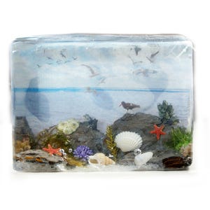 May include: A rectangular resin paperweight featuring a miniature ocean scene. The scene includes a blue sky with flying birds, a blue ocean, rocks, seashells, coral, a starfish, and a small bird. The paperweight is clear, allowing a full view of the miniature ocean.