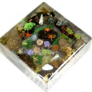 May include: A square resin paperweight featuring a miniature underwater scene. The scene includes small rocks, green and purple plants, orange starfish, and seashells. The clear resin encases the scene, creating a 3D effect.