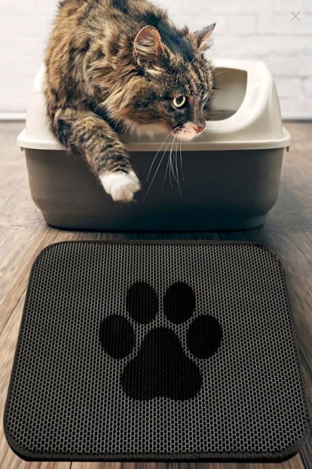 Cat Paw Pattern Doormat / Non Slip Based Rug / Dark Gray Kitten Doormat ...
