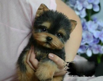 Reborn Dog Etsy